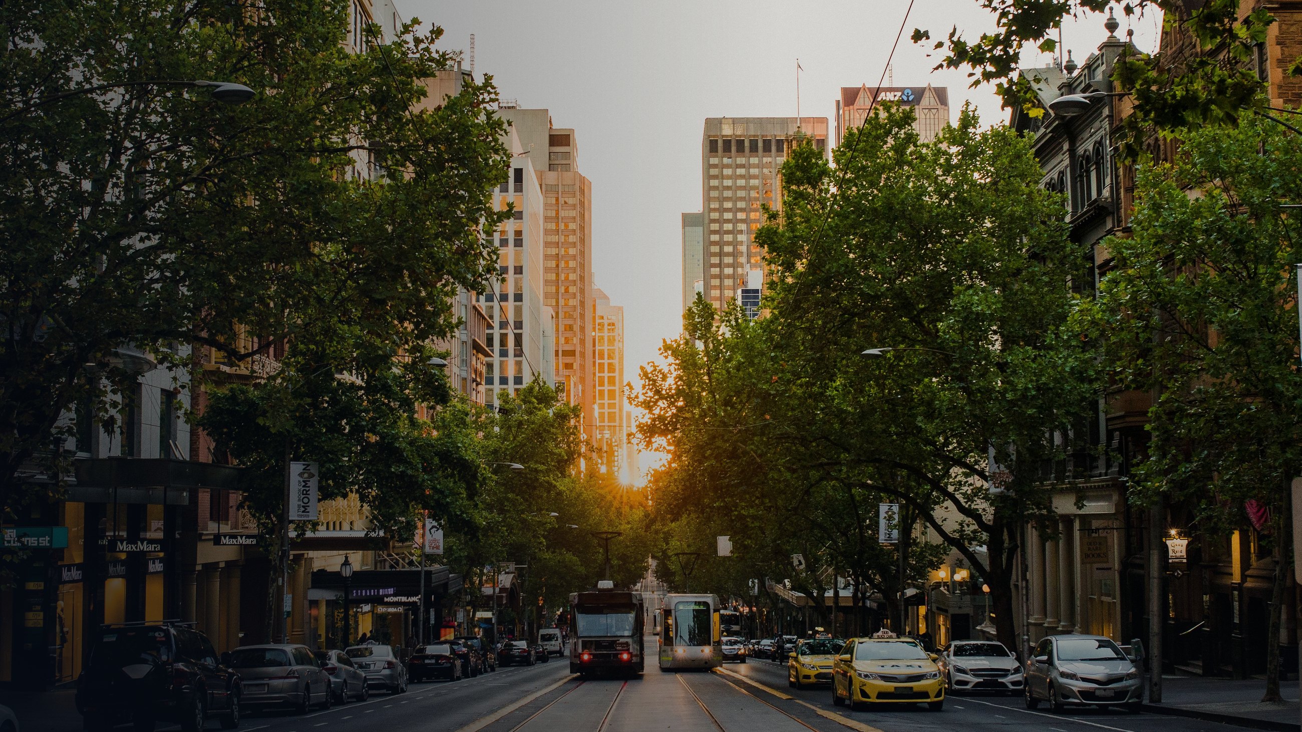 Melbourne CBD streetscape at sunset with trams on the tree-lined avenue